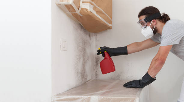 Professional Bathroom Mold Removal technician working in Bear Lake, MI
