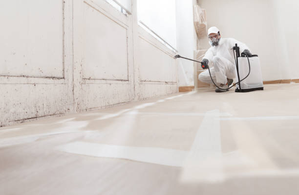 24/7 Emergency Bathroom Mold Removal experts in Bear Lake, MI